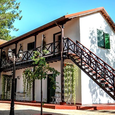 Pine View Boutique Hotel Adults Only Saittas Exterior photo
