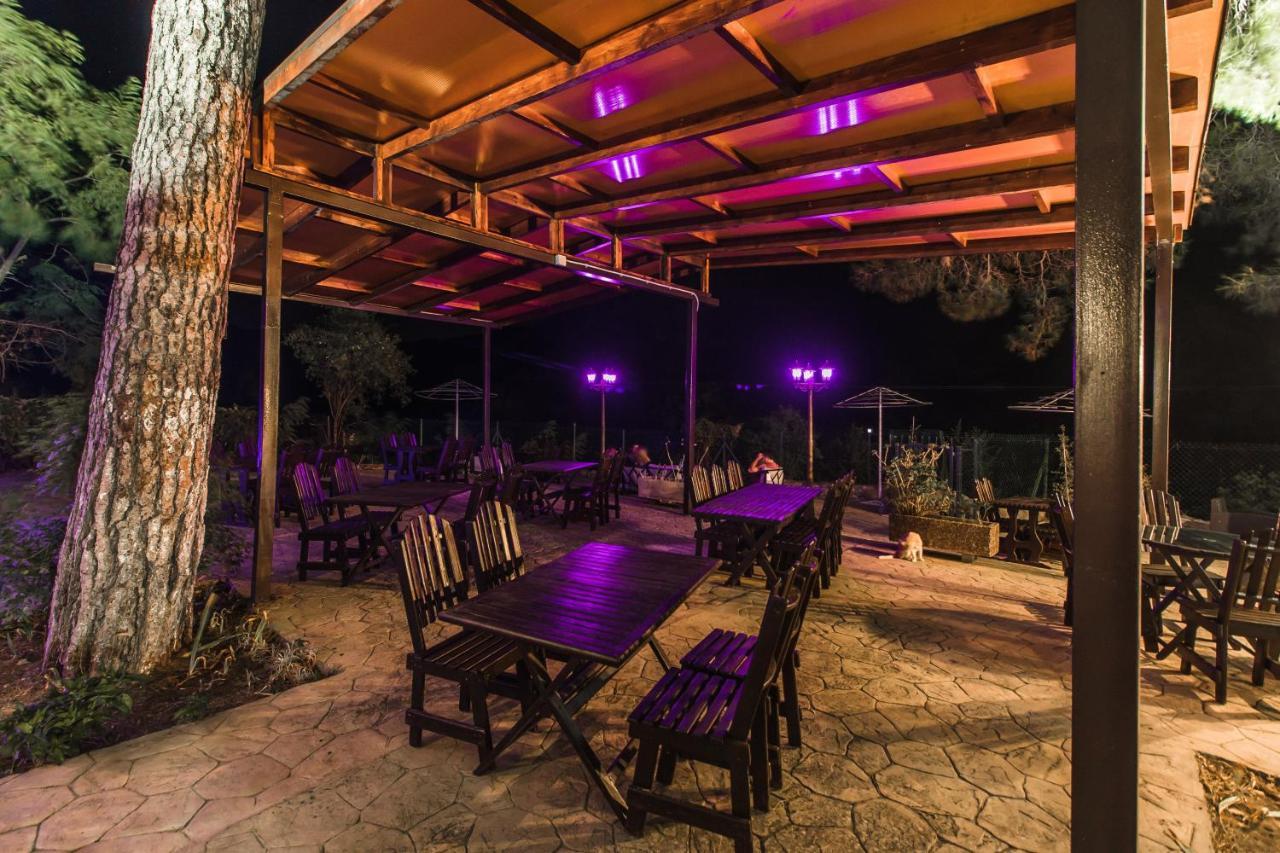 Pine View Boutique Hotel Adults Only Saittas Exterior photo